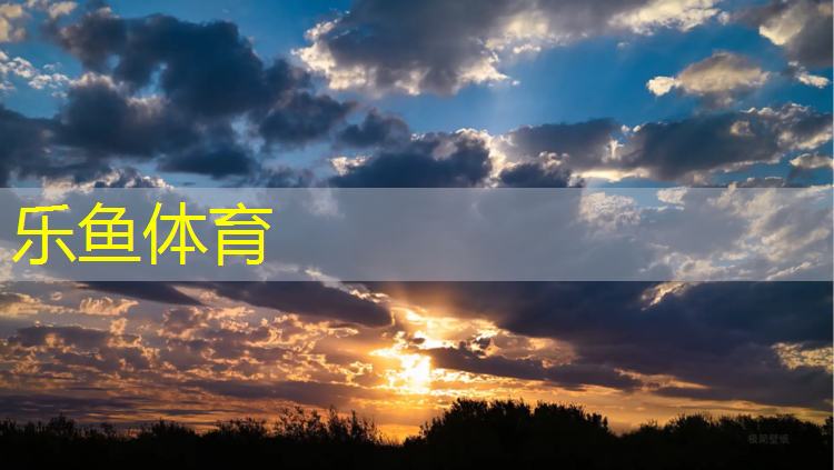 <strong>乐鱼体育官方网站,体操垫的小游戏</strong>