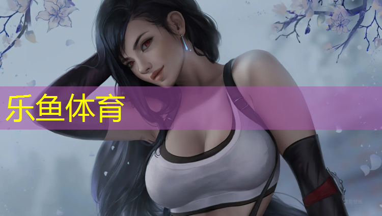 乐鱼体育,武进网球网规格