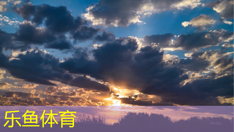 <strong>乐鱼体育,悬浮式拼装塑胶跑道</strong>